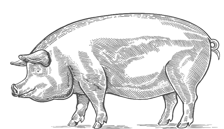 Синдикат — свежий шпик на шкуре