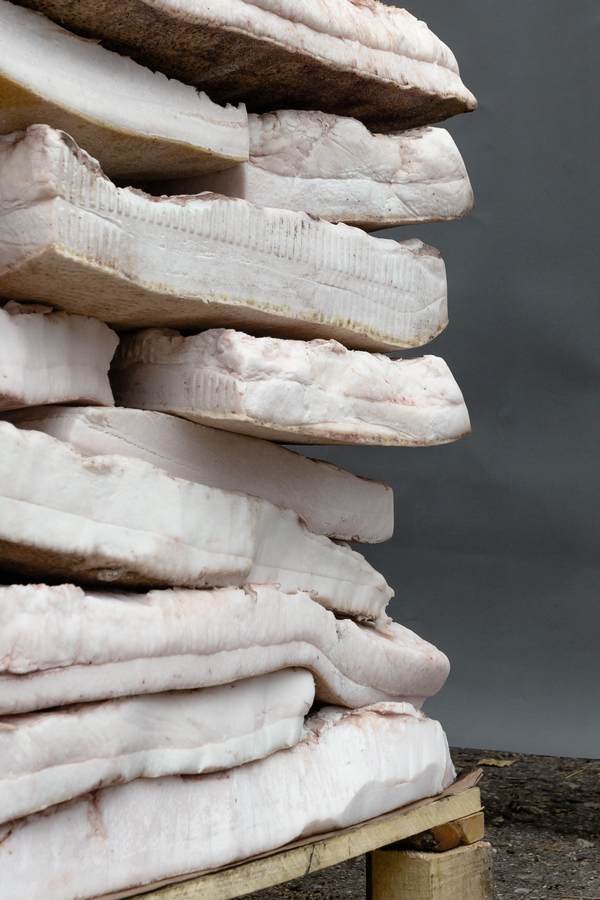 Сало 5+ см — сало оптом